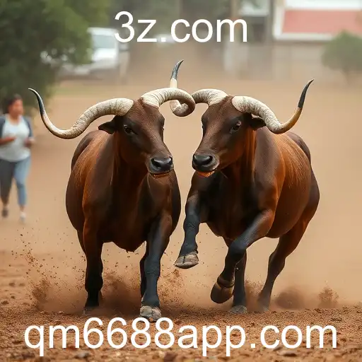 Rinha de Galos: A Controvérsia do Esporte Sangrento